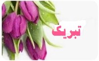 موفقیت چهار نفر از دانشجویان مهندسی بهداشت محیط در آزمون مقطع کارشناسی ارشد سال 1404