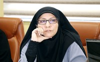 همکار ارجمند سرکار خانم دکتر جمیله امیرزاده